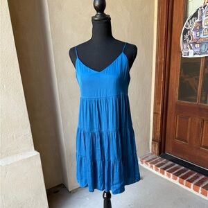 Naked Zebra Vibrant Blue Apparel